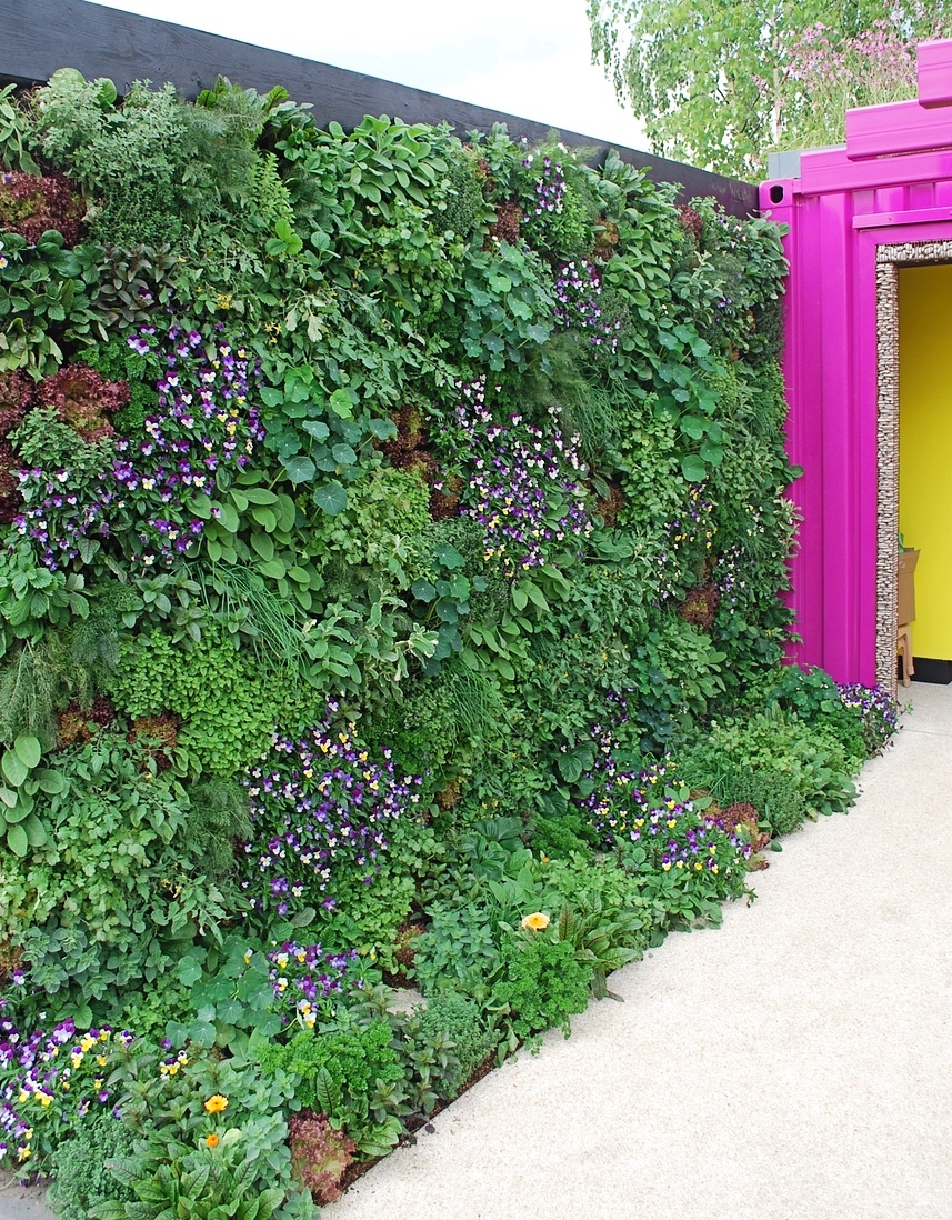 5 trends to try at home from rhs chelsea flower show 2019 — that's
